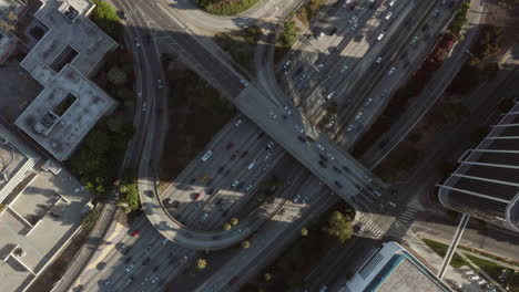 Vista-Aérea-De-Pájaros-Vista-De-Arriba-Hacia-Abajo-Del-Tráfico-De-La-Intersección-Con-Palmeras-Y-Al-Lado-Del-Centro-De-Los-ángeles,-California-Mirando-Hacia-Abajo