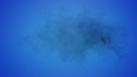 animation of cloud of grey smoke appearing and disappearing on blue background