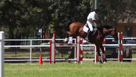 horse and rider jumping over obstacles