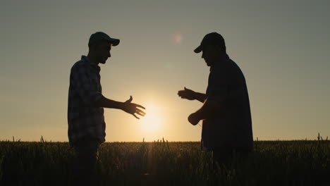 handshake of two male hands of farmers against the background of a wheat field where the sun sets