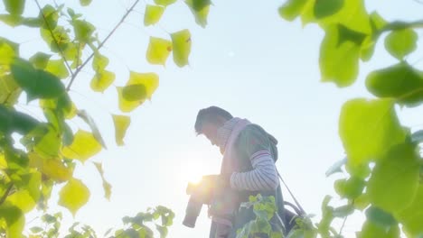 Photographer-placing-DSLR-camera-close-to-face-to-shoot,-seen-through-leaves