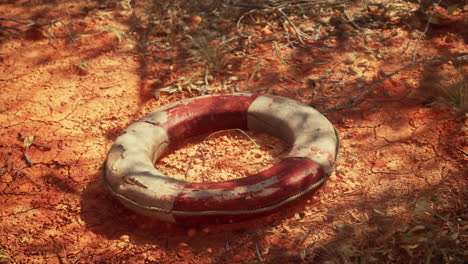 life ring buoy in desert beach