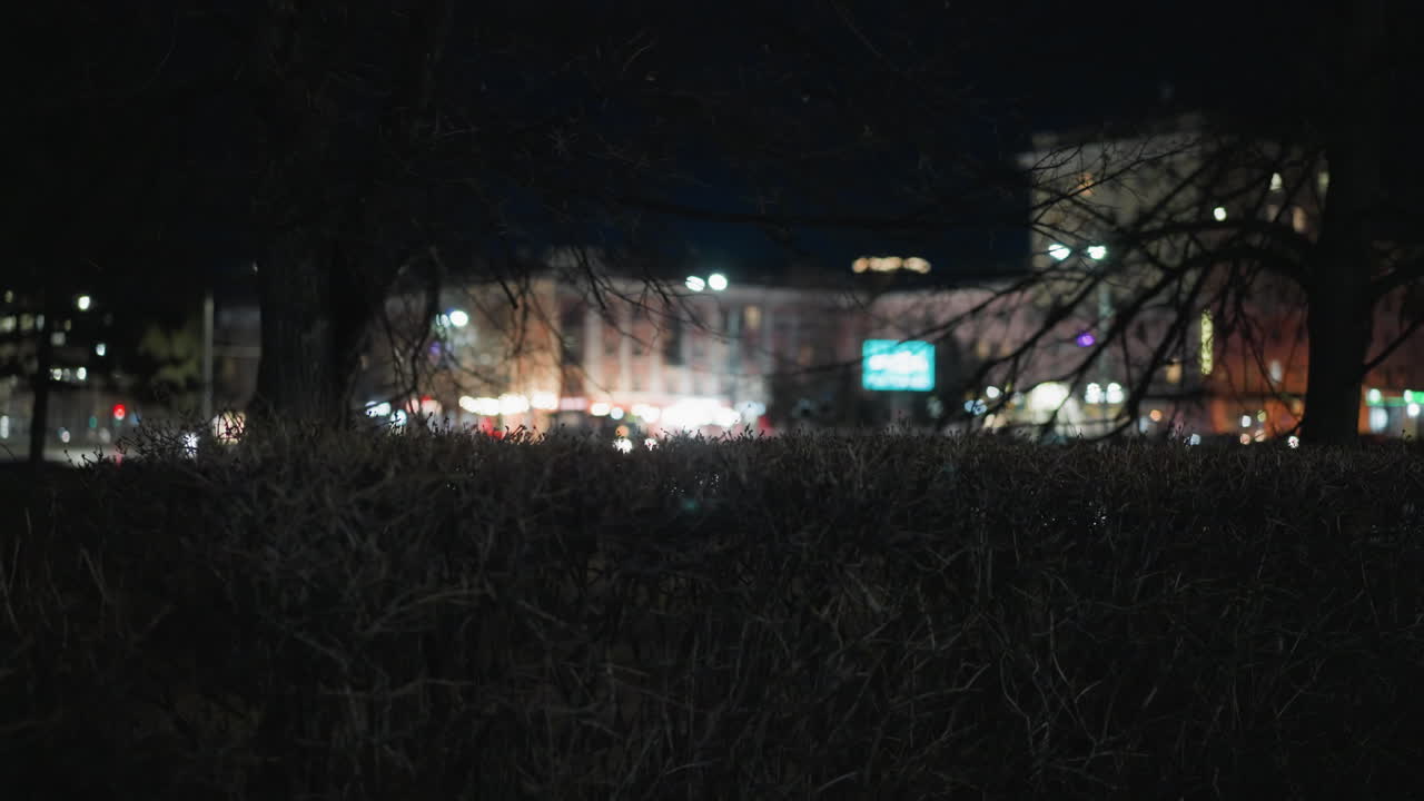 빛나는 덤불과 배경에 도시 불빛이 있는 도시 야간 장면, 지나가는 자동차