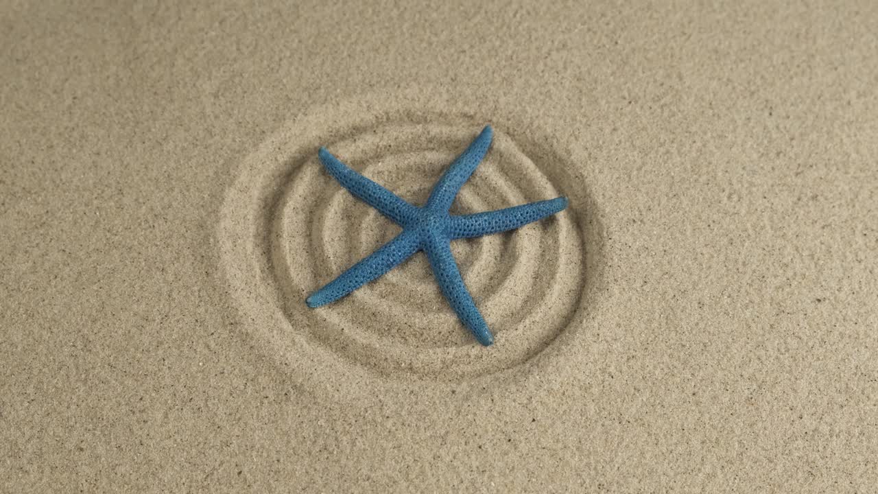 모래 원에 누워있는 큰 바다 별의 회전. 위쪽 뷰. 복사 공간