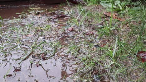 Regen,-Der-Von-Einem-Dach-In-Eine-Pfütze-Tropft