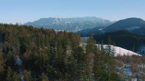 4k aerial drone flight moving above snowy hills and green forest tree tops in the bavarian alps in winter in germany, close to austria