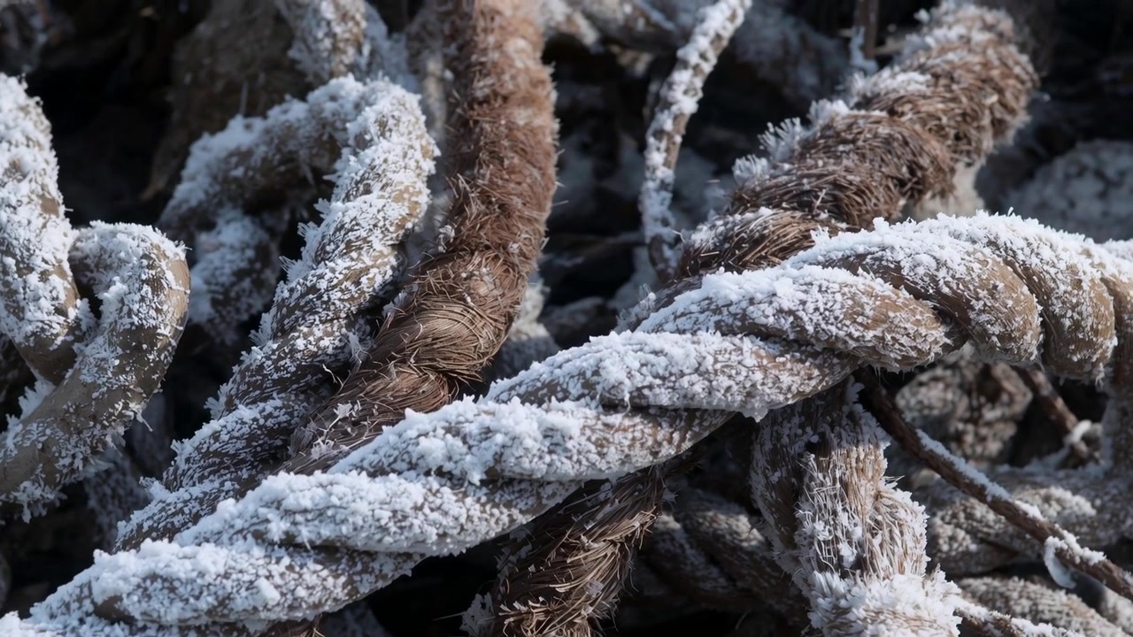 Movimento della telecamera, corde intrecciate ricoperte di brina che rivelano dettagli ghiacciati su terreno roccioso freddo, con ramoscelli