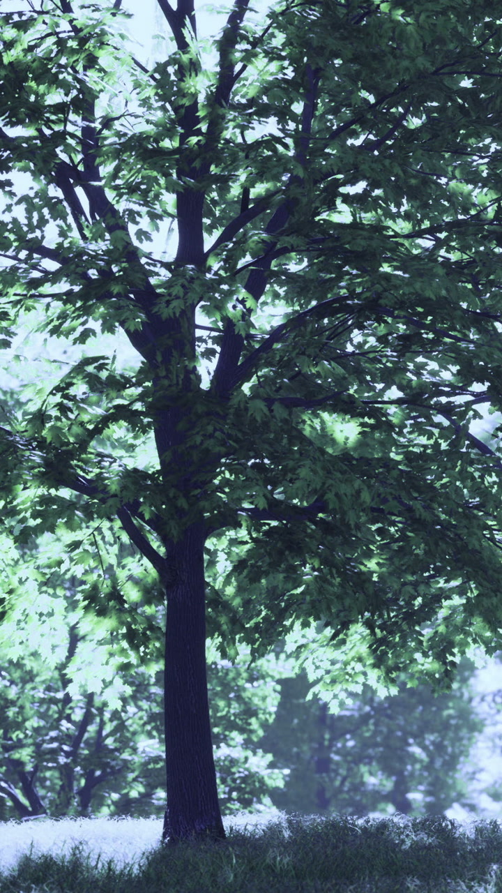 Majestic tree standing tall in a serene green landscape under soft light