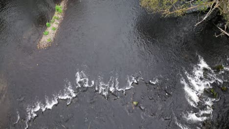 El-Río-Rur-En-Kreuzau,-Alemania-Fluye-Suavemente-En-La-Tarde-Fría-De-Otoño