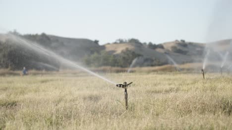 line sprinkler in farming field spins around watering the crops