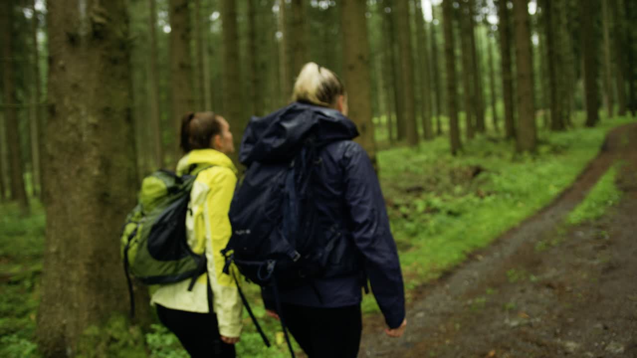 dos mujeres caminando por el bosque. caminando por la lluvia en un bosque. conectándose con la naturaleza y siendo activas.