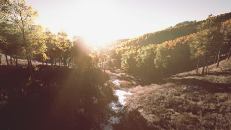 Sommerlandschaft-In-Den-Bergen