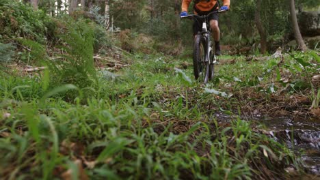 Ciclista-De-Montaña-Masculino-Montando-En-El-Bosque