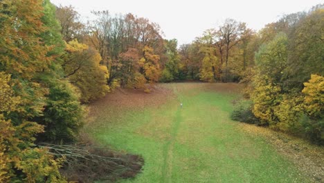 Man-Stands-Still-In-The-Middle-Of-The-Park-And-Enjoys-The-View-Of-the-Autumnal-Trees