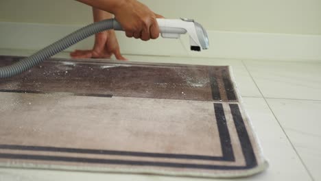 woman vacuuming a carpet in a home