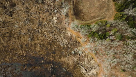 Point-remove-wildlife-area,-blackwell,-arkansas,-with-dry-and-green-vegetation-contrast,-aerial-view