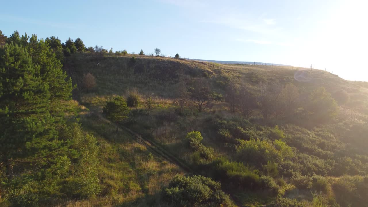 revelación aérea cinematográfica de la granja solar al amanecer con árboles, cielo azul