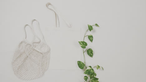 close up of white bags and green plant on white background, with copy space, slow motion