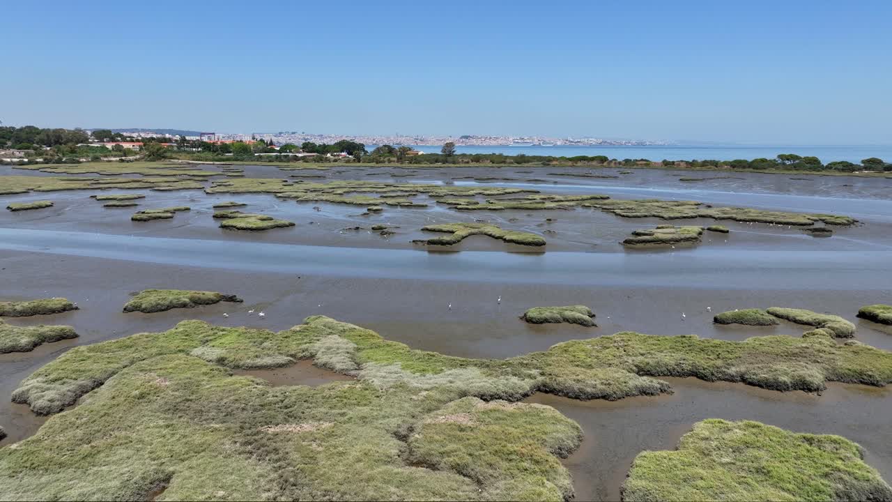 imágenes de aviones no tripulados volando sobre algunas zonas pantanosas e islas de aves entre almada y seixal en portugal