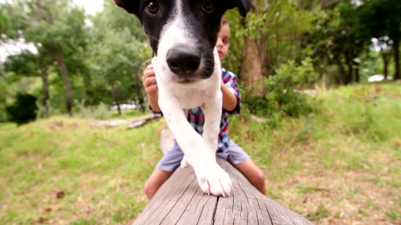 un lindo cachorro y un niño travieso mirando a la cámara en la naturaleza