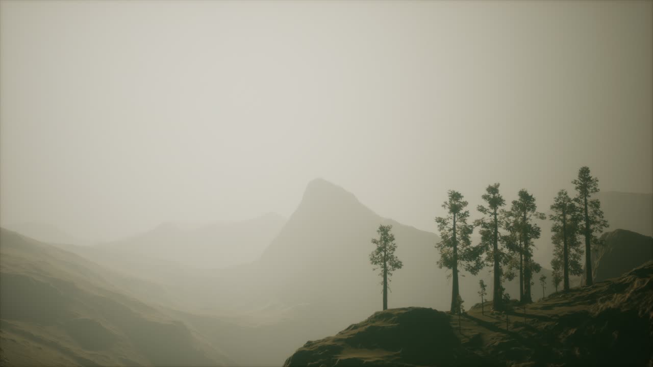 산 기 ?? 에 있는 안개 숲