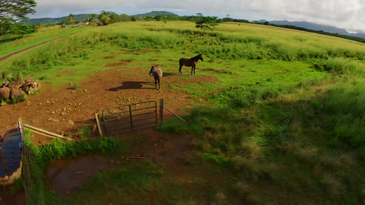 vista aérea de la belleza de los exuberantes prados verdes de kauai: una aventura cinematográfica a través de su follaje natural y majestuosas montañas con vistas 4k uhd de sus paisajes insulares del pacífico