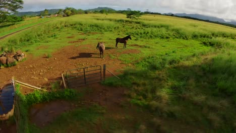 Vista-Aérea-De-La-Belleza-De-Los-Exuberantes-Prados-Verdes-De-Kauai:-Una-Aventura-Cinematográfica-A-Través-De-Su-Follaje-Natural-Y-Majestuosas-Montañas-Con-Vistas-4k-Uhd-De-Sus-Paisajes-Insulares-Del-Pacífico