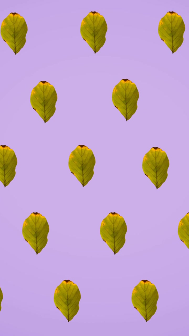 Animation of rows of autumn yellow leaves on purple background