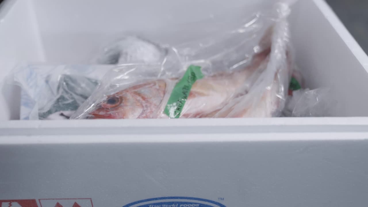 A static shot captures fish packaged and ready for unpacking, filmed at 120 fps to highlight detail.