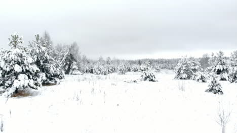 winter season snowy mountain forest aerial shot breathtaking natural landscape, frozen forest and dark mountain river