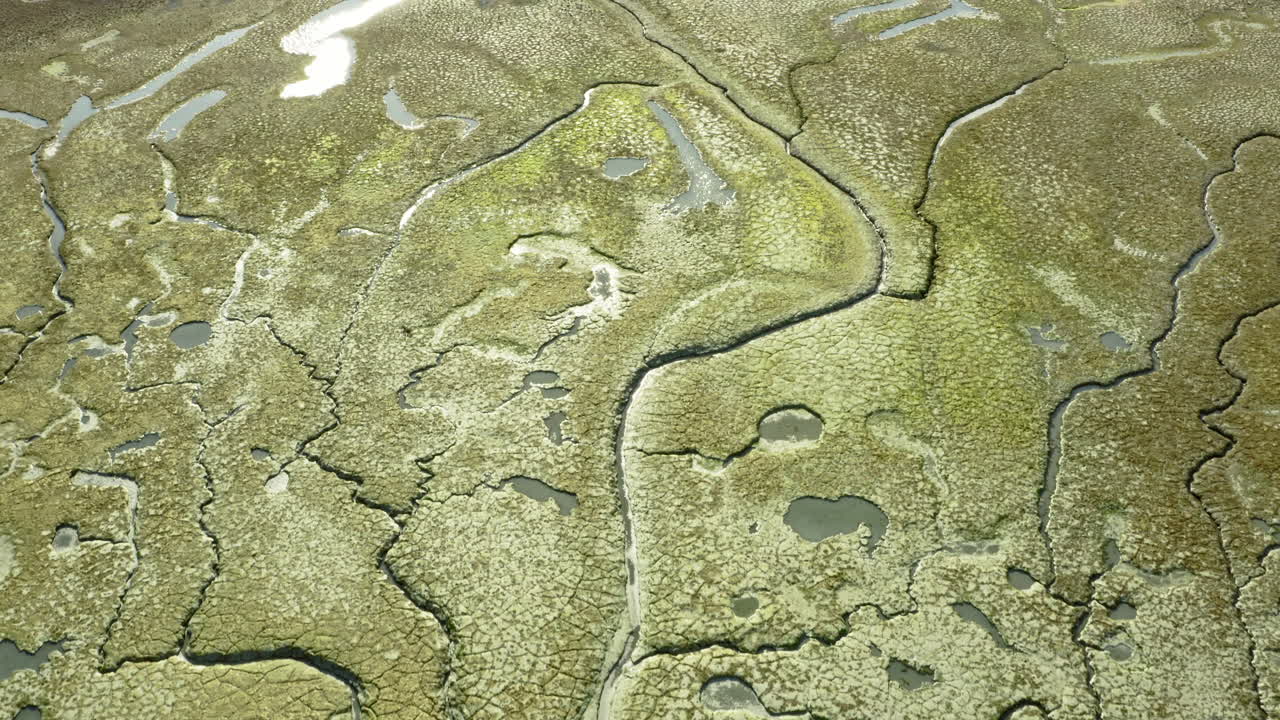 Shallow water reveals mossy lakebed textures in calm pond near Beagle Channel wetlands, natural aerial backdrop