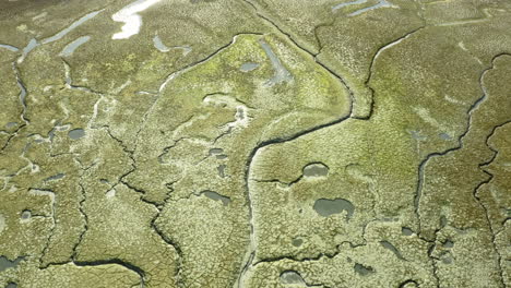 shallow water reveals mossy lakebed textures in calm pond near beagle channel wetlands, natural aerial backdrop