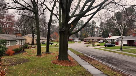 An-oak-tree-soaked-from-heavy-cold-rain-in-fall-2023