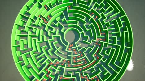 green maze on the background of water 4k