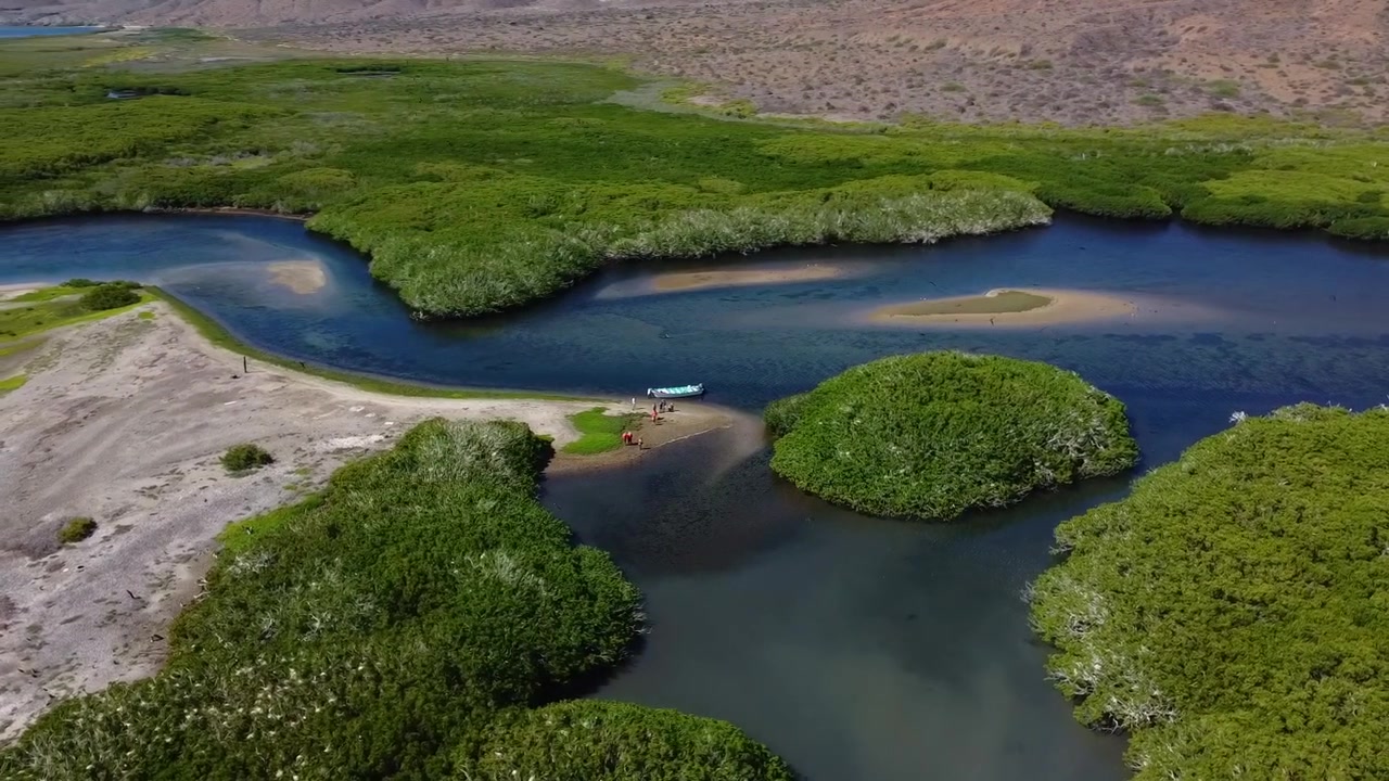 Aerial drone view of the complex mangrove labyrinth, calm blue water channels, and pristine sandbanks in Bahía Magdalena Baja California Sur, Mexico.