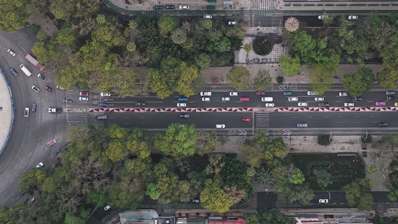 Vista dall'alto con drone di veicoli che si muovono lungo un grande viale cittadino con alberi e marciapiedi. Scena di traffico urbano a Città del Messico.
