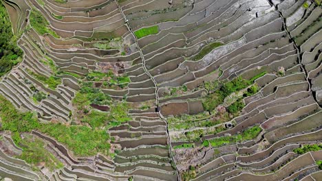 Top-down-drone-footage-over-the-famous-Batad-rice-terraces-in-north-Philippines