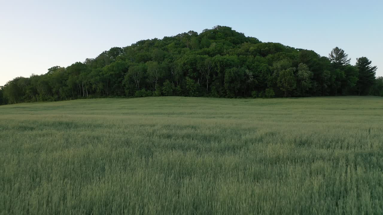 숲과 들판을 가진 시골 풍경