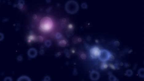 motion graphic of realistic blurry bokeh background