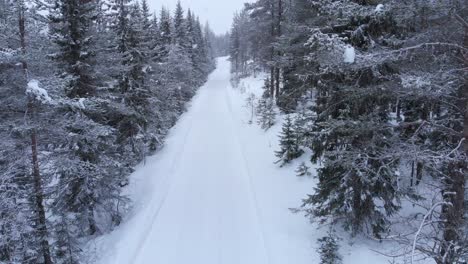 aerial descending shot with tilt up on a snowed road in the middle of a snowed forest