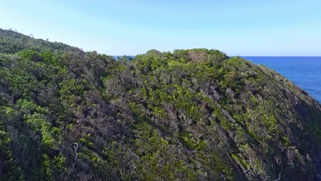 las exuberantes montañas y el pintoresco océano en playa ermitaño en la república dominicana - fotografía aérea de dron