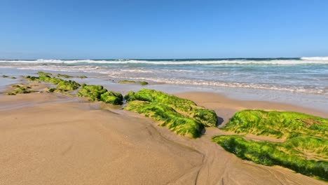 waves hitting seaweed-covered rocks on a sandy beach