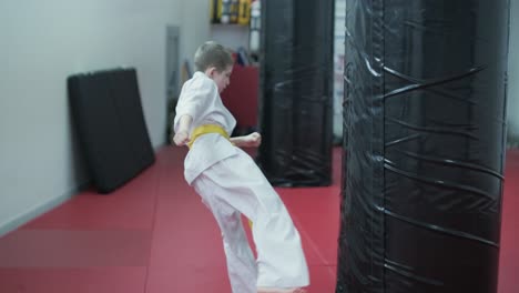 young martial artists in white gi and yellow belts practicing kudo techniques with focus and determination