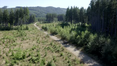 vw van vintage van driving through forest aerial view 4k drone