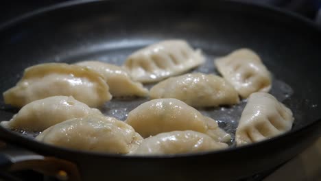 frying japanese dumplings or gyoza in a skillet on the stovetop