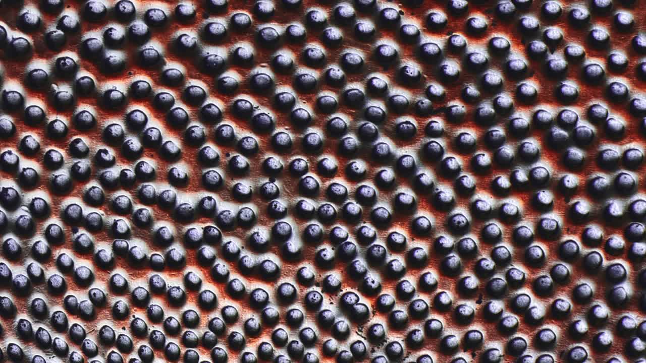 3d perspectiva grunge botón patrón azulejos malla forma patrón textura animación.4k bucle sin costuras electrónica led pared concepto de botón digital para el fondo de la tecnología de la ciencia.