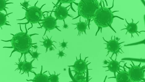 Animation-Von-Marco-Zellen-Des-Coronavirus,-Die-Sich-Auf-Grünem-Hintergrund-Ausbreiten