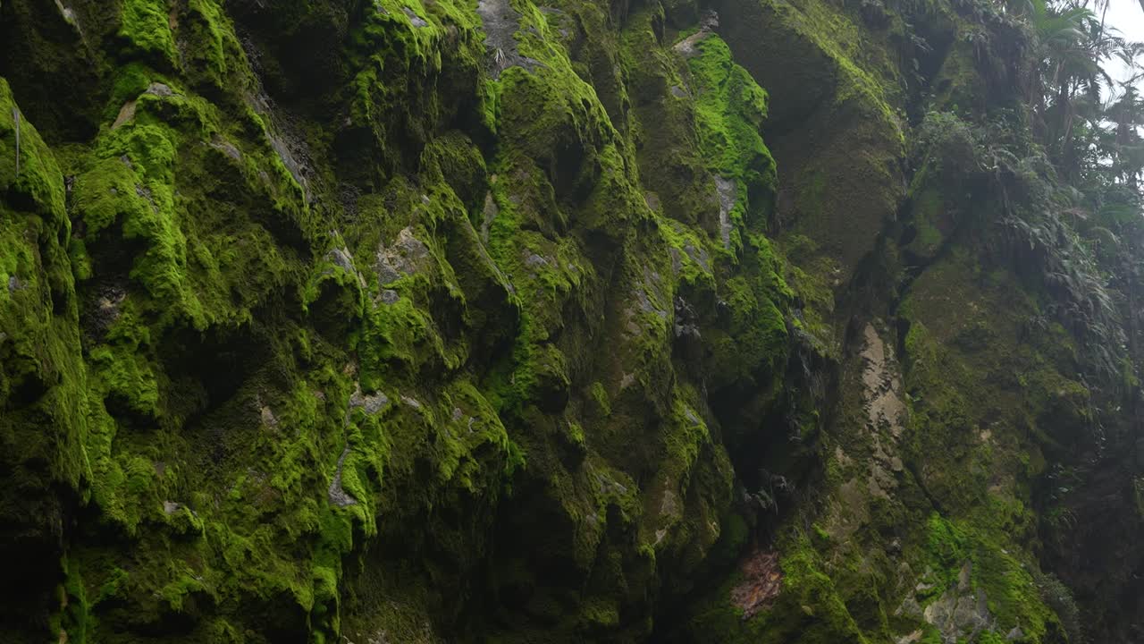 rocas con musgo en la selva tropical dentro de las montañas