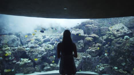 woman walking towards large fish tank in dubai aquarium. silhouette of a woman in indoor aquarium with various tropical fish on a coral reef