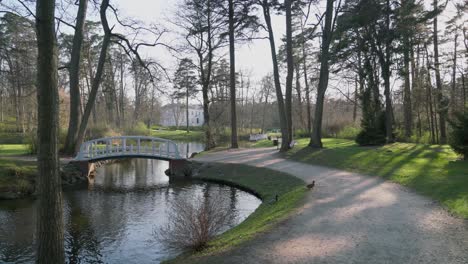 hermoso parque en palanga con senderos de estanques y bosque con patos cruzando la carretera y museo de ámbar en segundo plano